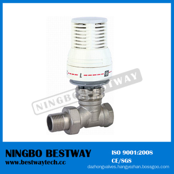 High Performance New Electric Radiator Valve (BW-R04)